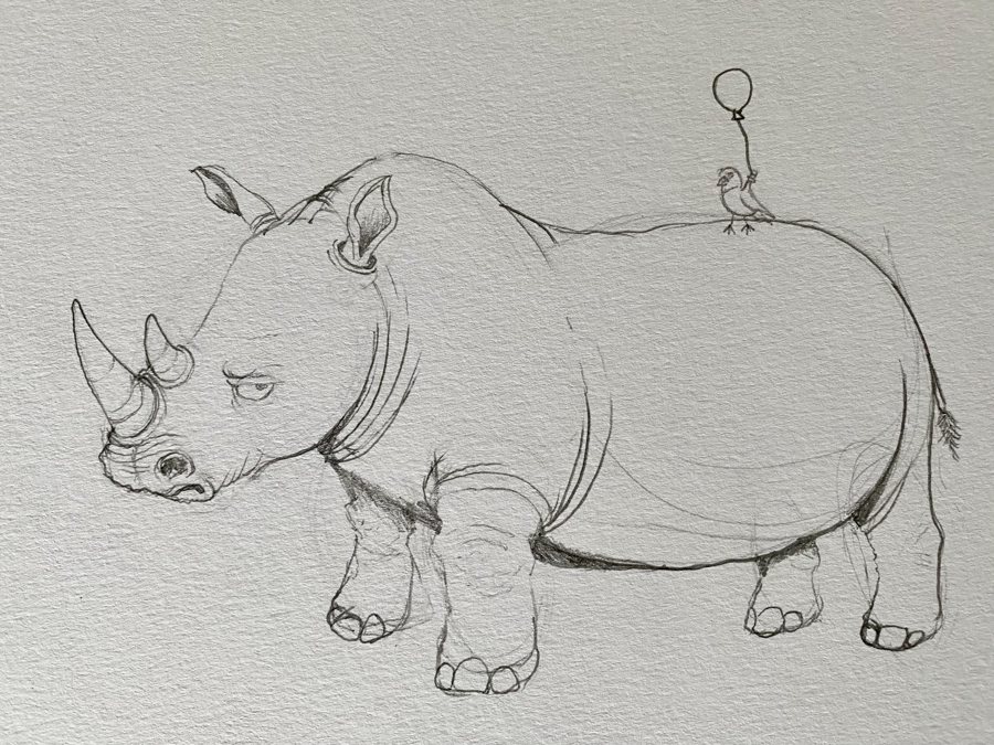 Pencil sketch of the rhino before finishing